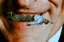 Trap (Detail)