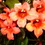 D584dd2753_square