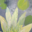 Thai_lotus_pond_small_small