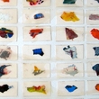 Ellenschneiderman17_small