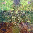 Seedlings_small