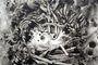Baxter_adamandeve_tiny