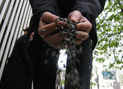 Bell_hands_small