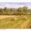 Haymaking_in_gardenville_001_square