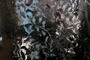 Black Fossil