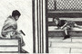 Guerilla Kids (Scene)