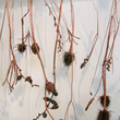 Project_spaces_small