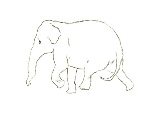 Indian_elephant__10__large