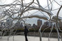 Roxy_paine_big_tiny