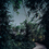 Path_square