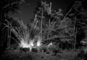 Al_small_wars_explosion_web_tiny