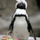 57f0c4efb1_square