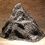 Tbogaert_collinesaumillesouris_square