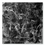 Mwiener_converstaions_square