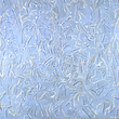 Gussow_ice_brittled_branches_small
