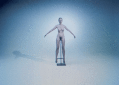 29258_thirds