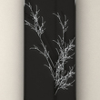 Adhese_ny12_pr_small