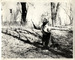 Archive_popup6_tiny