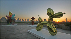 Koons
