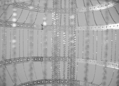 63ba96f31b_thirds