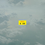 5919dfc481_square