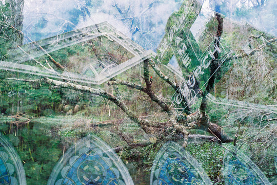 River_bird_leavengood_large