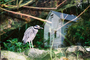 Carl Sandbird