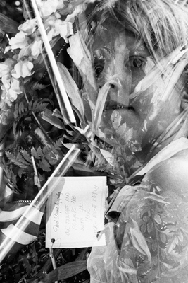 Death_on_holiday_detail_large
