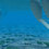 B7a800d93a_square