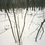 Ec79345f20_square