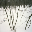 Ec79345f20_thirds