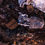 2f071c898c_square
