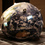 A2b225585c_square