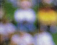 Fa68960f13_thirds