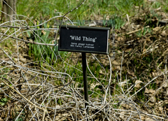 246285e64e_thirds