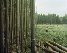 6e4849f2cb_thirds