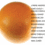 094a0555f5_square