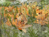 Azizcucher_sb_field_2_small