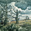 155c40e693_square