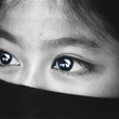 Bfe7541e04_small