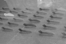 750ec72362_thirds