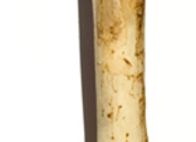 Tonsfeldt_small