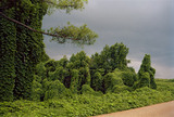 Christenberry_thumb_thirds