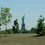 Lsp_photo_5_square