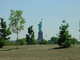 Lsp_photo_5_tiny