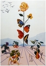 Dali1304p_small