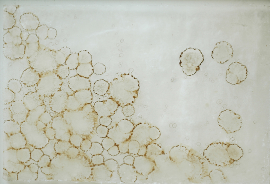 Celluar_memorysmall_large
