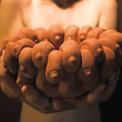 Bradley_breasts_1_small