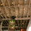 Dsc02299_square
