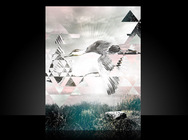 New_goose_image_design_thumb